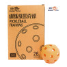 Double Fish Pickle Ball Indoor Training Ball DF-T26R-6 (Pack of 6)