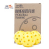 Double Fish Pickleball Outdoor Training Ball DF-T40Y-6 (Pack of 6)