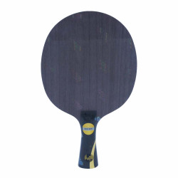 DHS Wang Liqin Classic Table Tennis Blade + Rubber Gift Box Special edition