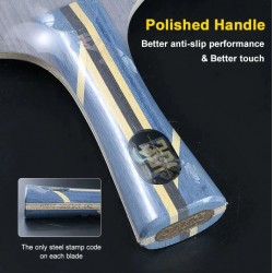 DHS Hurricane H301Z Carbon Shakehand Blade  (Long Handle)