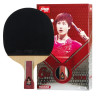 DHS H6006 6 Stars Table Tennis Racket Penhold (Short Handle)