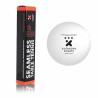 VICTAS V15 Sticky 2.0 (Made in Germany) + XUSHAOFA 3 Stars Ball(6)