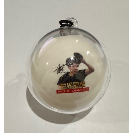 DHS World Champion player Souvenir Ball with case (1PC)