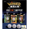 Double Fish Winner Table Tennis Balls 3 Stars Win40+ (Pack of 6)