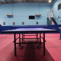 WTTC T-018 Anti - Scratches Foldable Table Tennis Table With Wheels