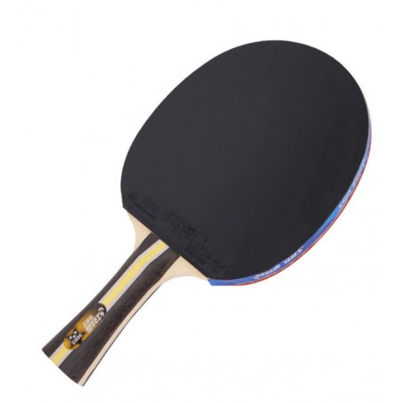 DHS H3002C Carbon Shakehand Table Tennis racket (Long Handle) with Case